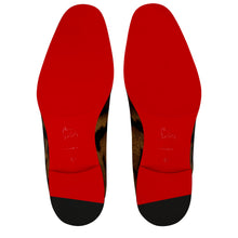 Load image into Gallery viewer, Christian Louboutin Danny Flex Men Shoes | Color Brown
